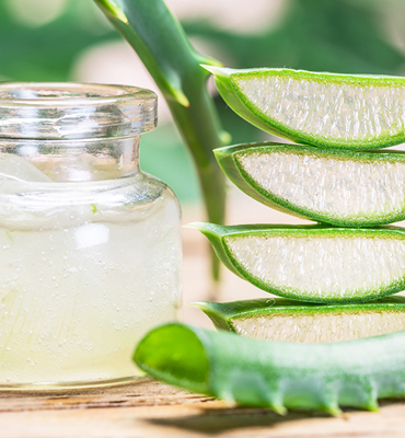 Aloevera