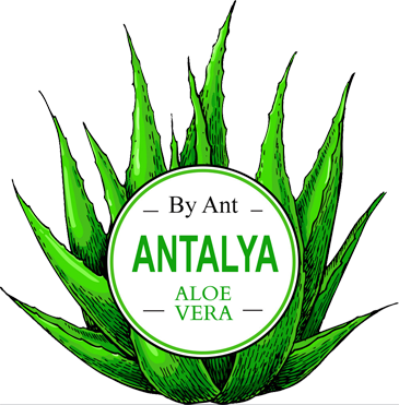 Aloevera dış kabuğu